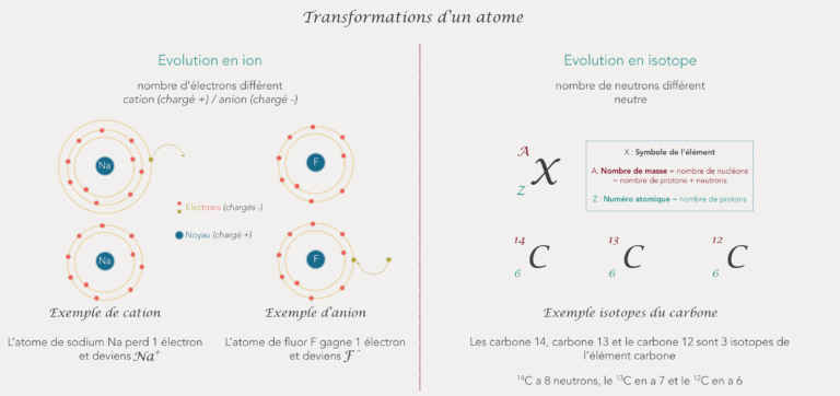 Ion et isotope